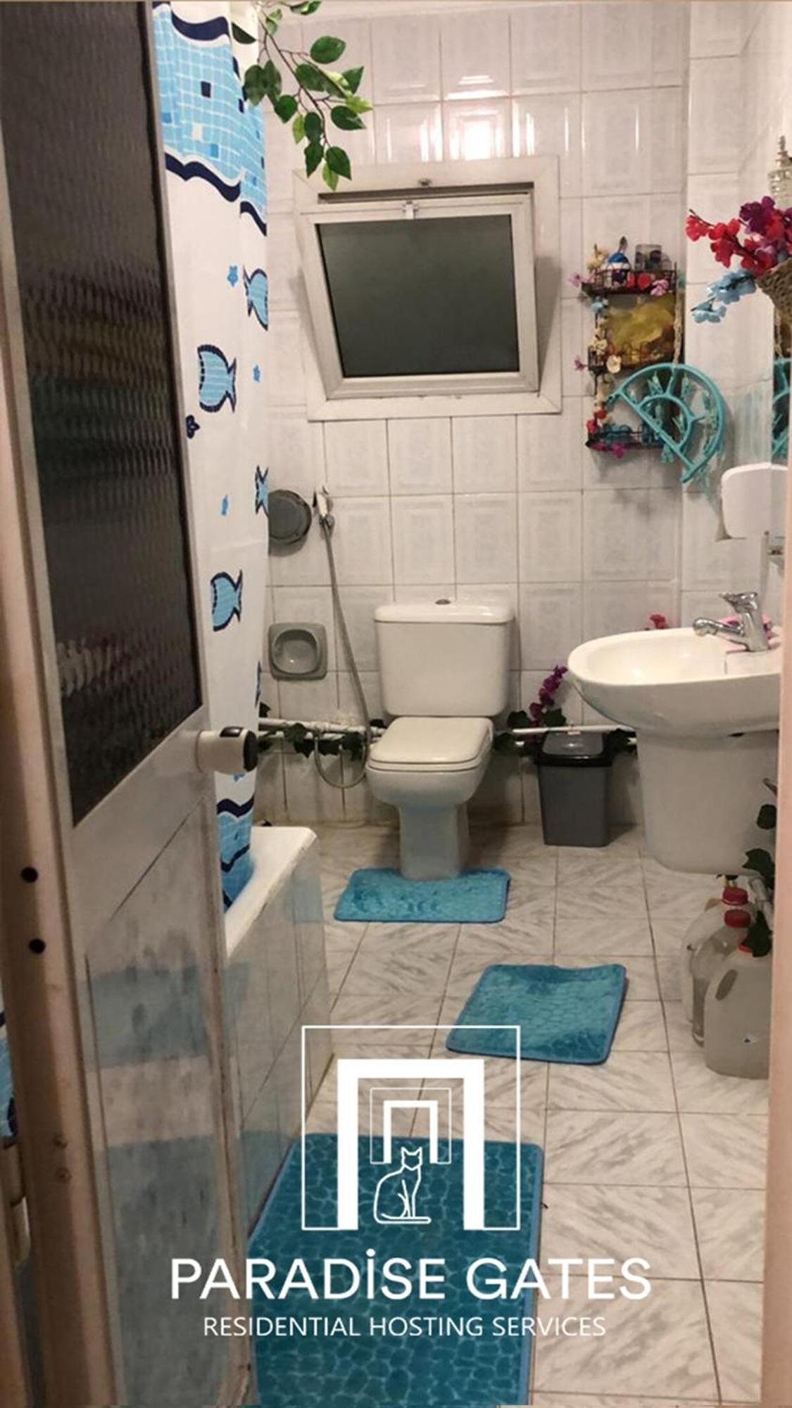 Paradise Gates Nasrcity Apartment